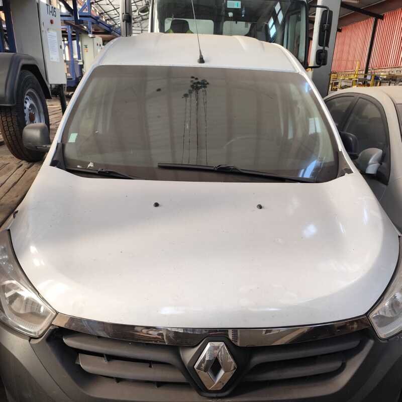 FURGON RENAULT